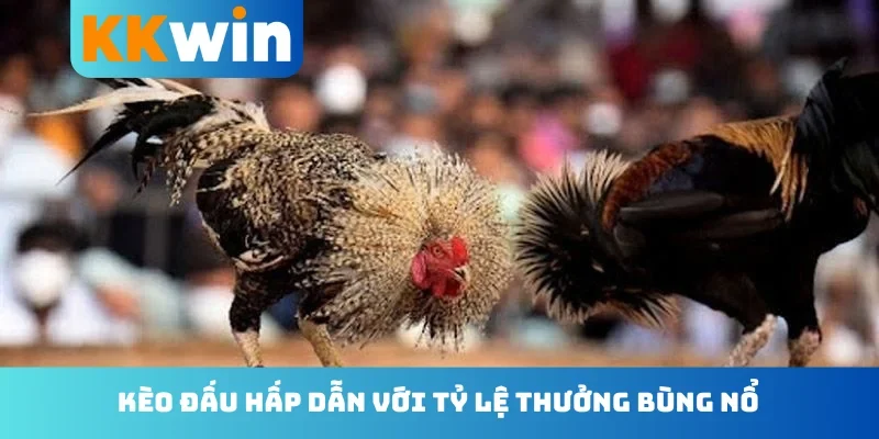 Kèo đấu hấp dẫn với tỷ lệ thưởng bùng nổ